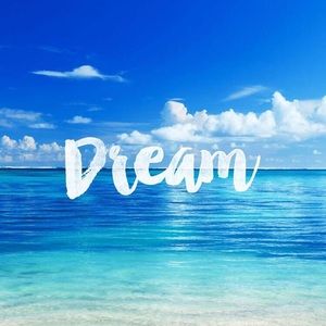 Meet your Posher, Robyn